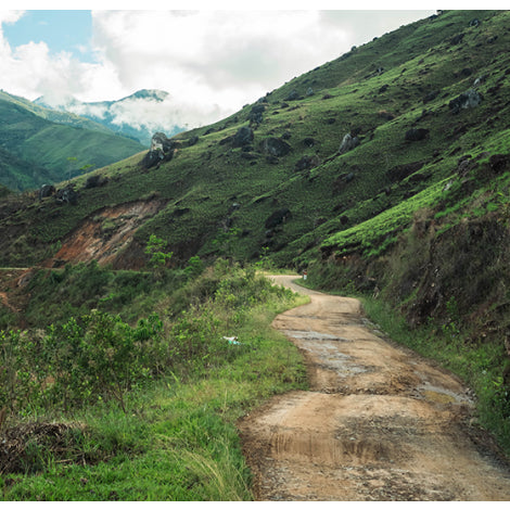 Peru Richard Cotrina – Finca El Eucalipto Bourbon Washed